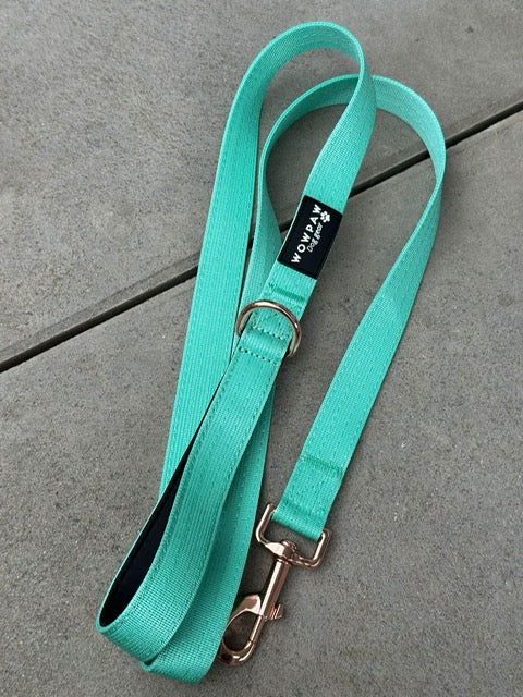 Guinzaglio standard per cani M lunghezza 1,5m Menta x Oro rosa