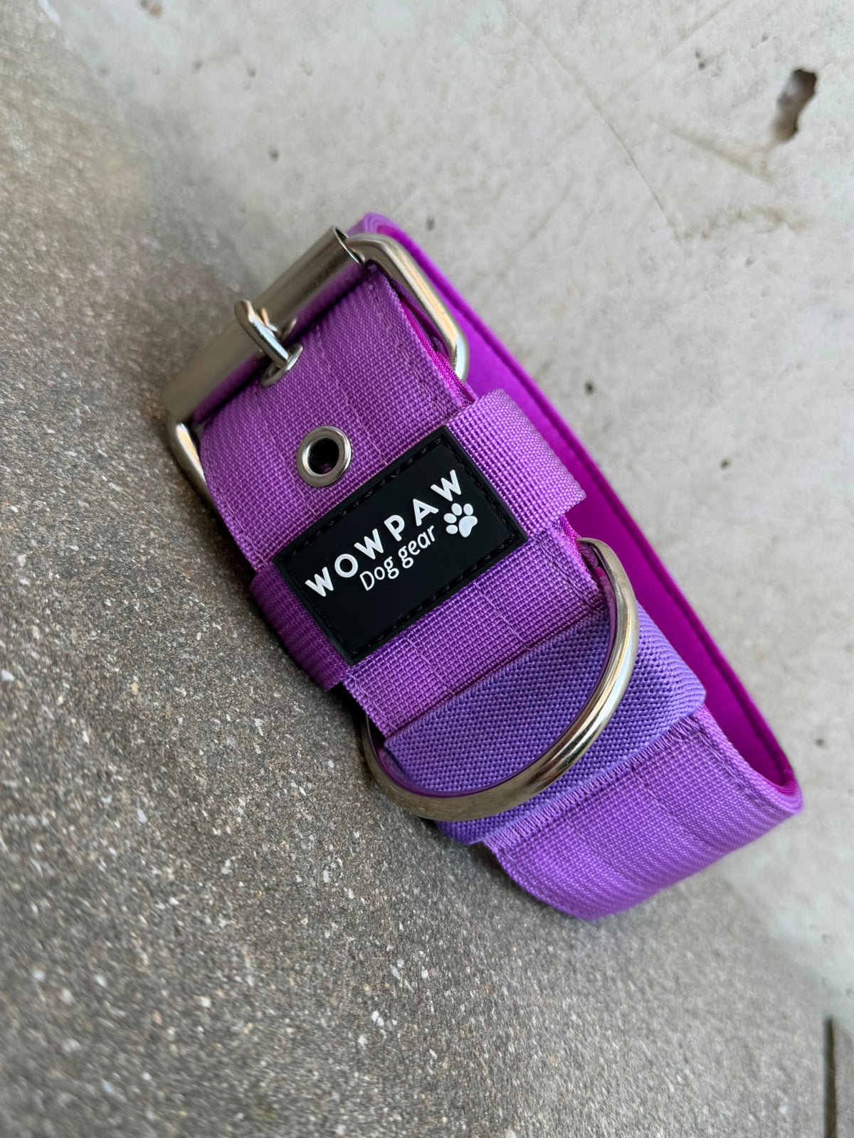 Hochwertiges Basic Hundehalsband Dunkellila-Silber Edition 5cm Größe L