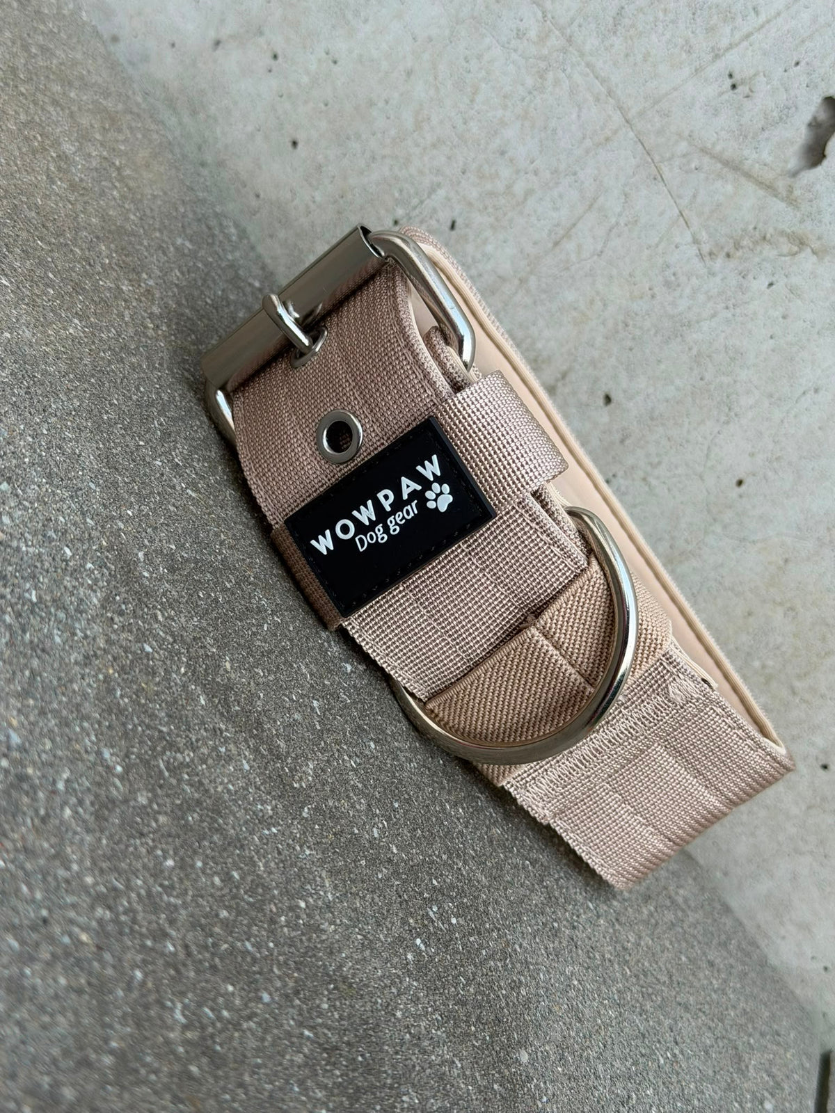 Hochwertiges Basic Hundehalsband Beige-Silber Edition 5cm Größe L