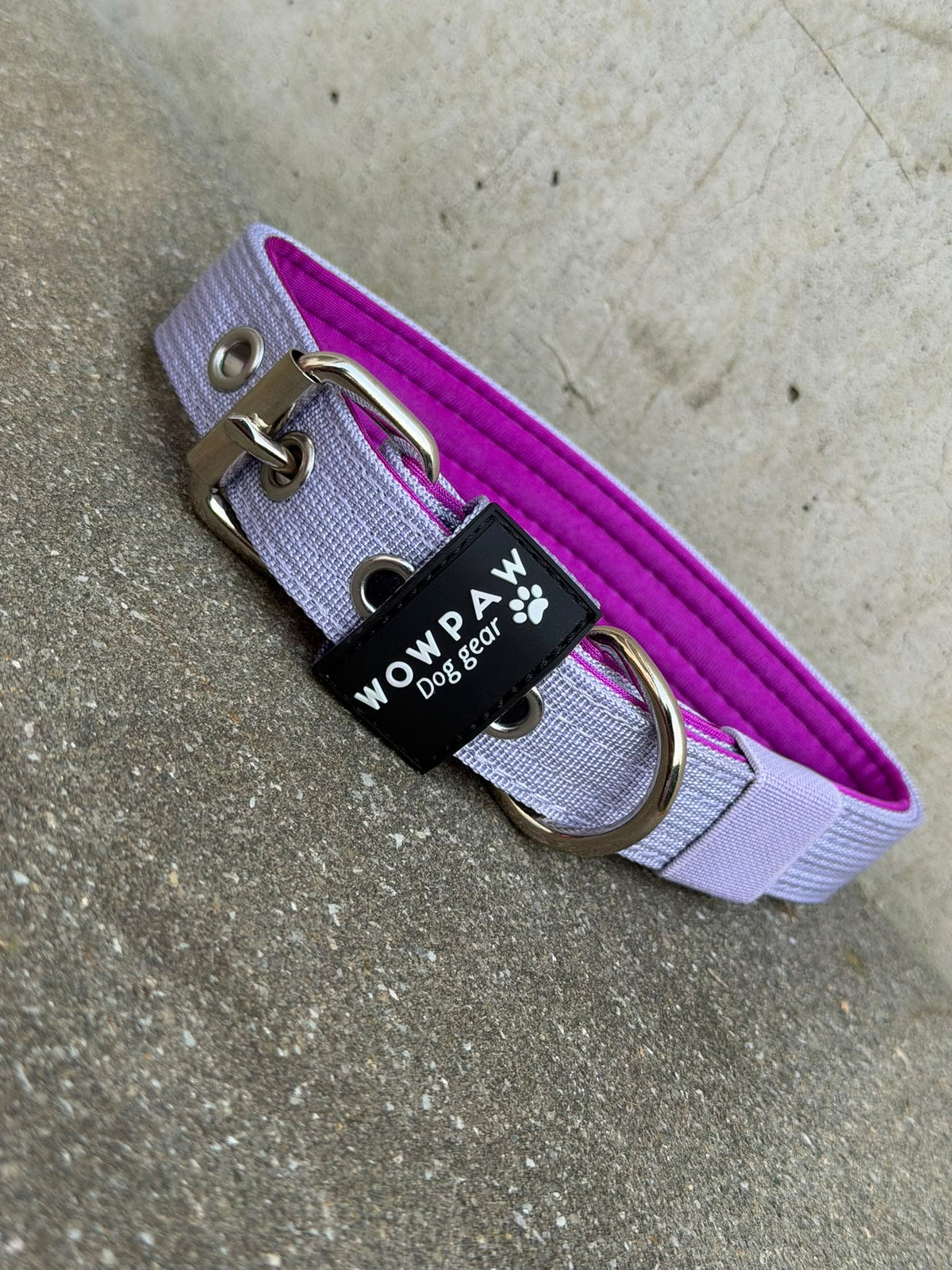 Hochwertiges Basic Hundehalsband Flieder-Silber Edition 2,5cm Größe M