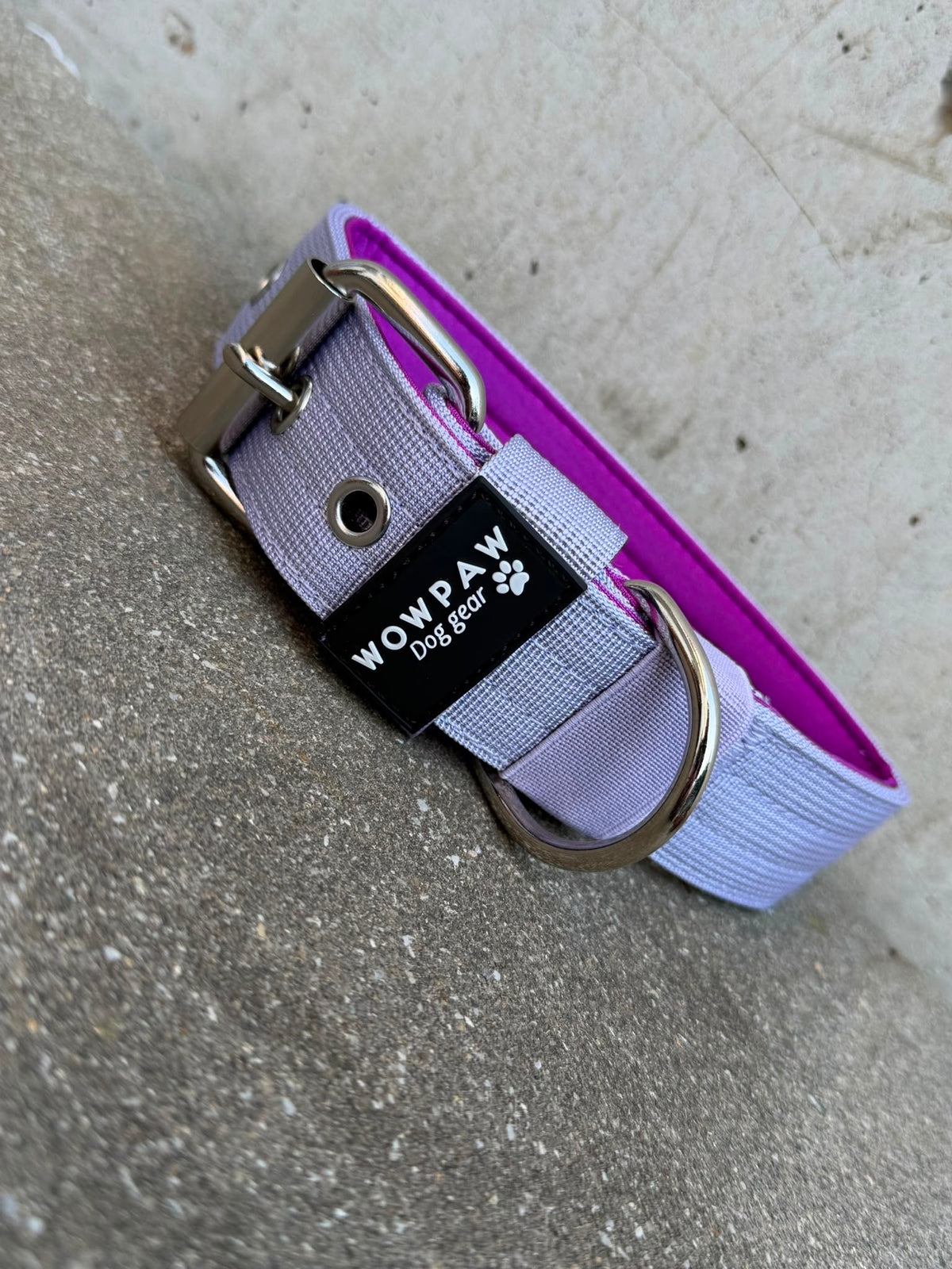 Hochwertiges Basic Hundehalsband Flieder-Silber Edition 3,8cm Größe S