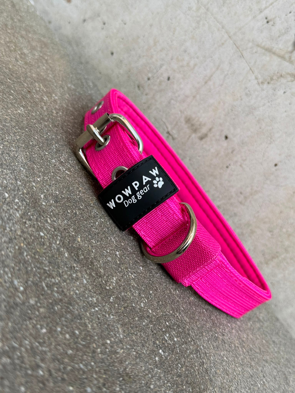 Hochwertiges Basic Hundehalsband Magenta-Silber Edition 2,5cm Größe L