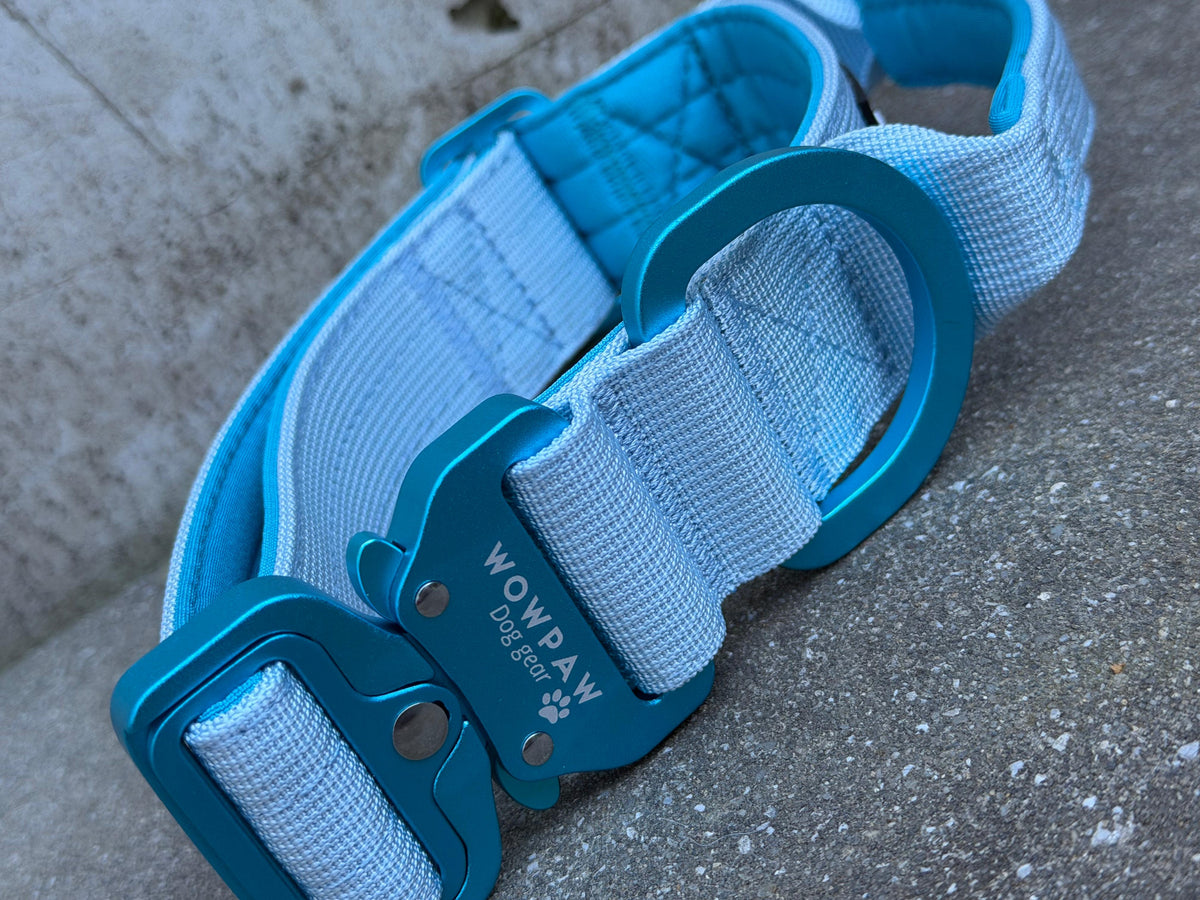 Taktisches Hundehalsband ULTRA LIGHT 3,8cm Light Blue Edition L