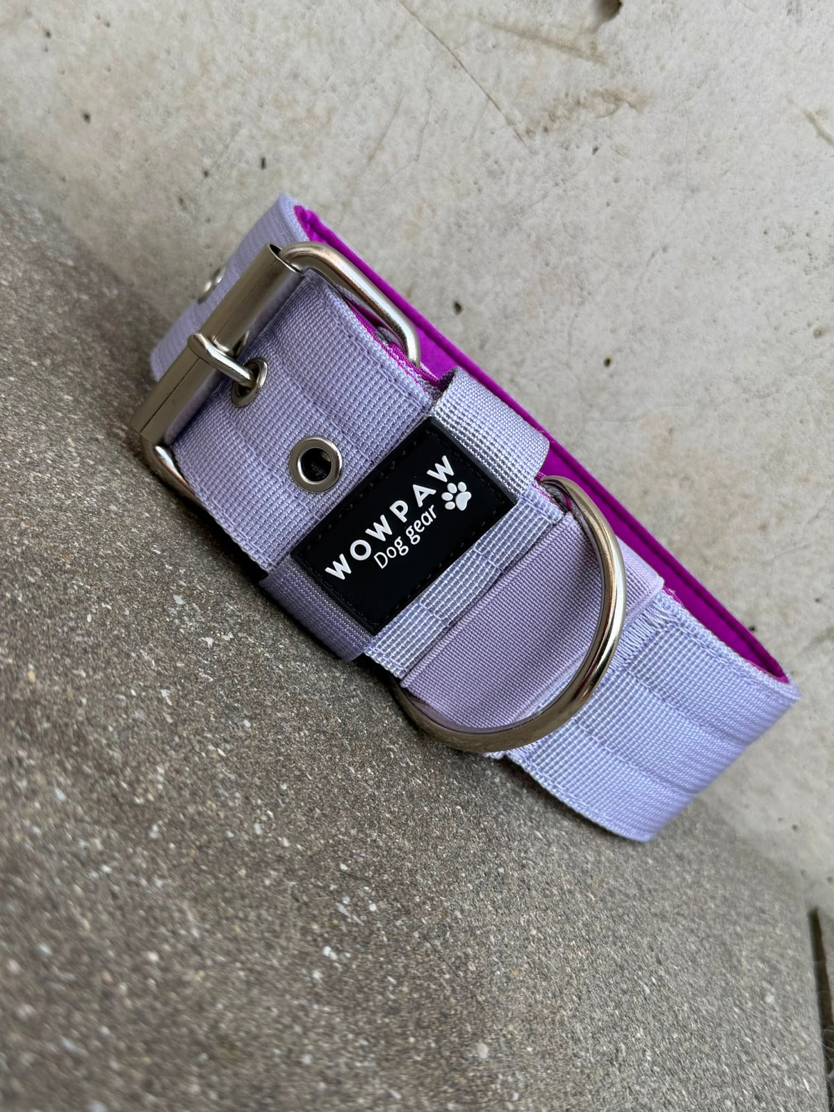 Hochwertiges Basic Hundehalsband Flieder-Silber Edition 5cm Größe M