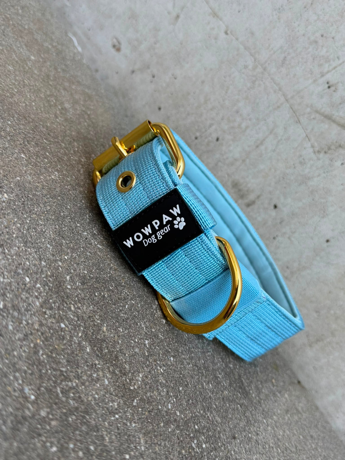 Hochwertiges Basic Hundehalsband Sky Blue-Gold Edition 3,8cm Größe L