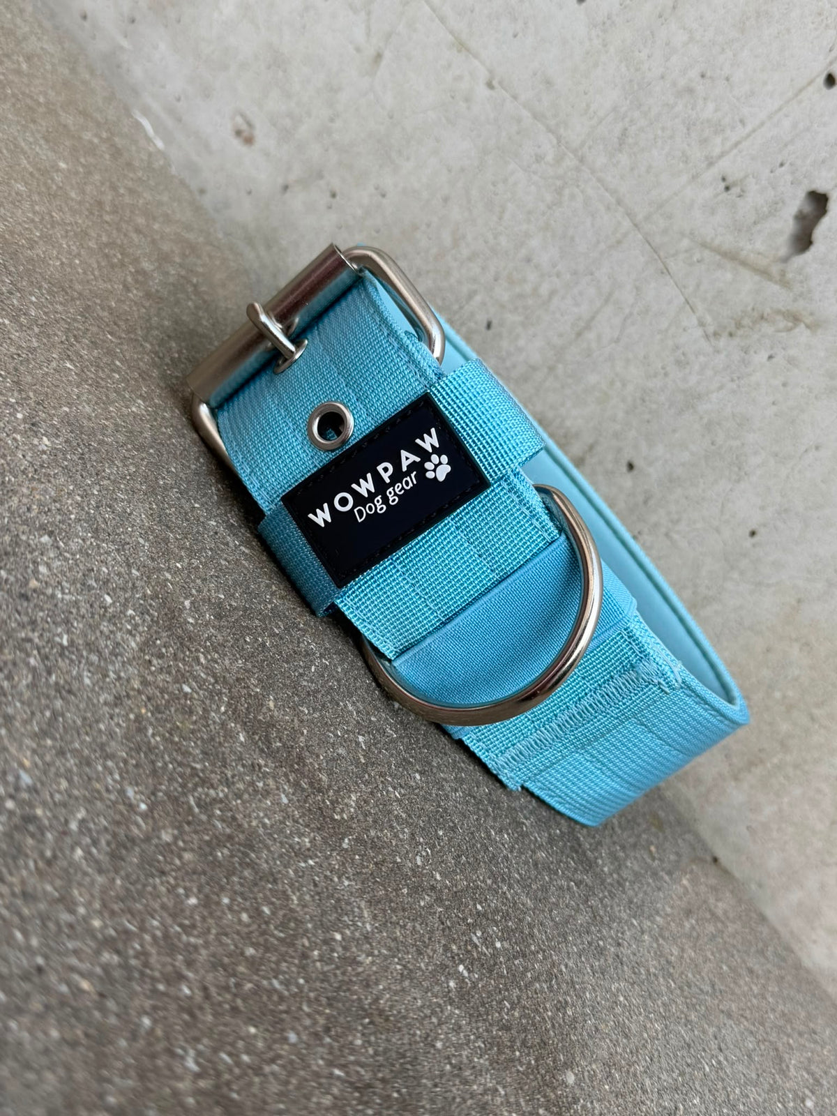 Hochwertiges Basic Hundehalsband Sky Blue-Silber Edition 5cm Größe S