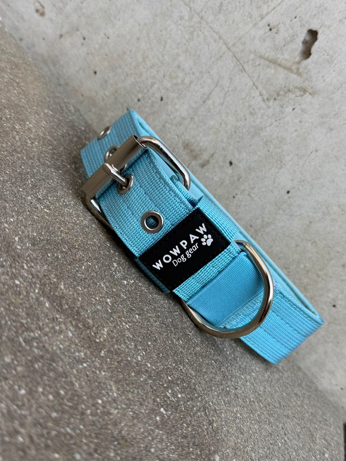 Hochwertiges Basic Hundehalsband Sky Blue-Silber Edition 3,8cm Größe L