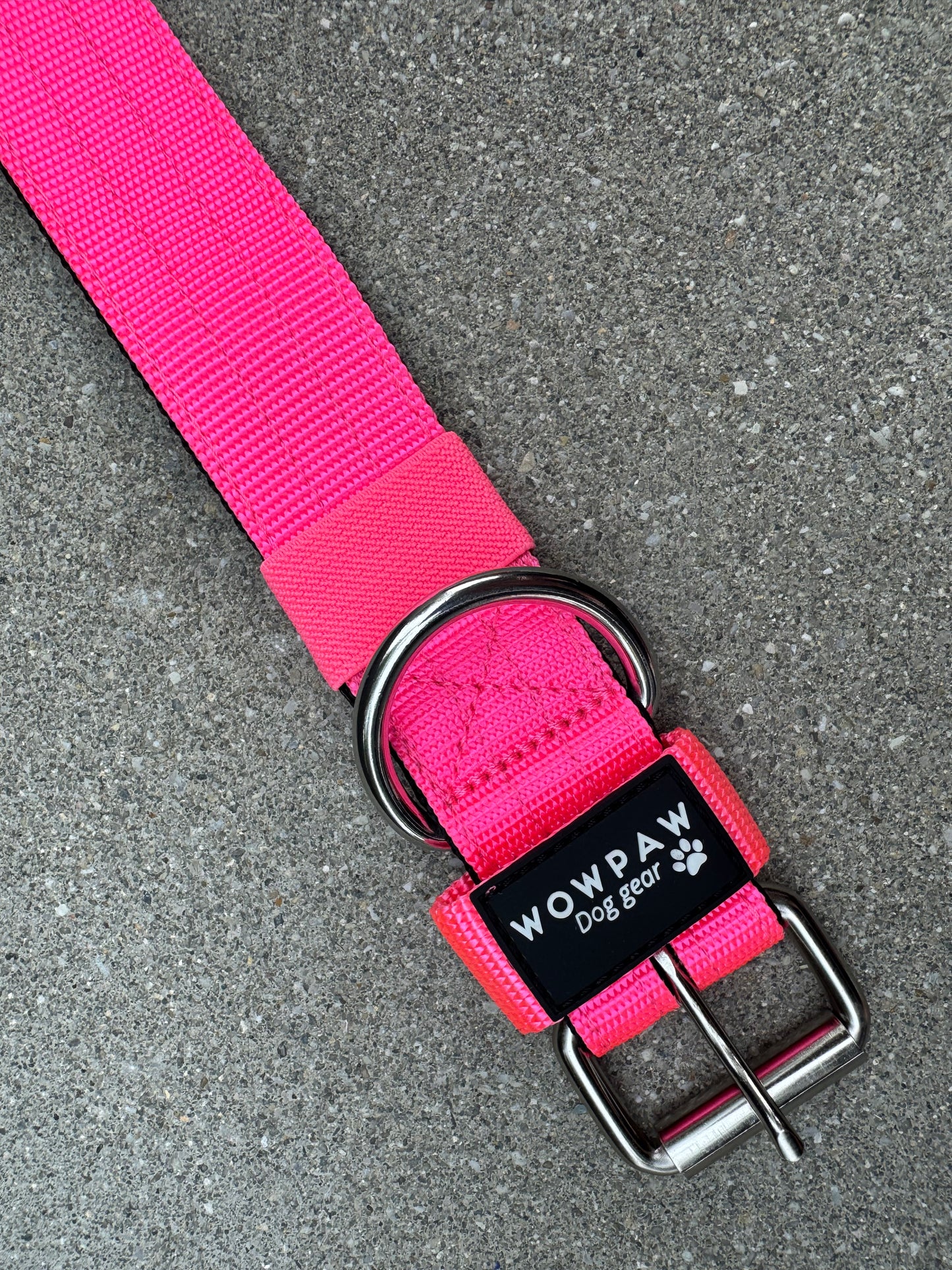 Hochwertiges Basic Hundehalsband Neonpink 4cm Größe L