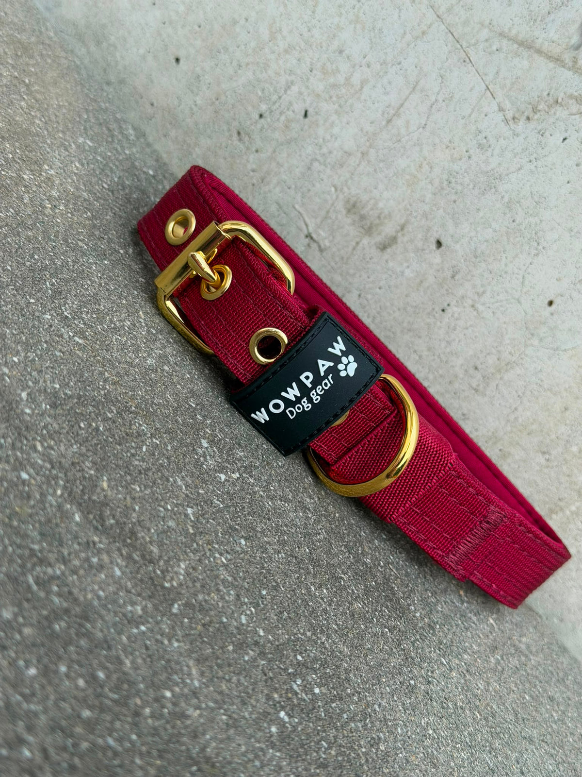 Hochwertiges Basic Hundehalsband Burgund-Gold Edition 2,5cm Größe L