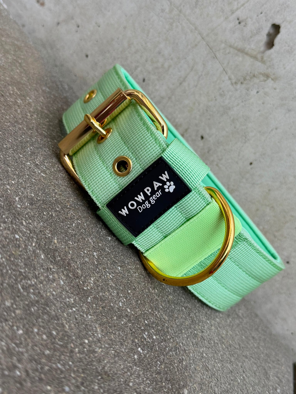 Hochwertiges Basic Hundehalsband Pistaziengrün-Gold Edition 5cm Größe M