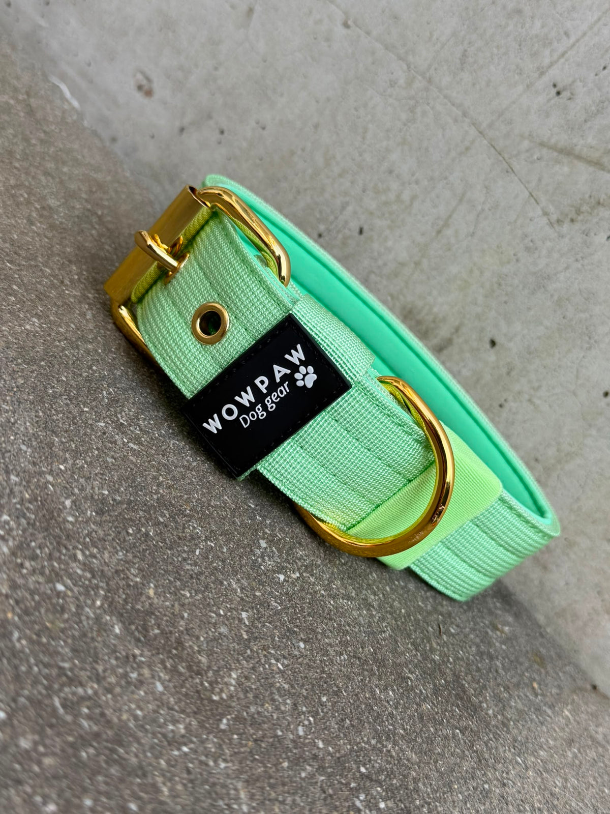 Hochwertiges Basic Hundehalsband Pistaziengrün-Gold Edition 3,8cm Größe S