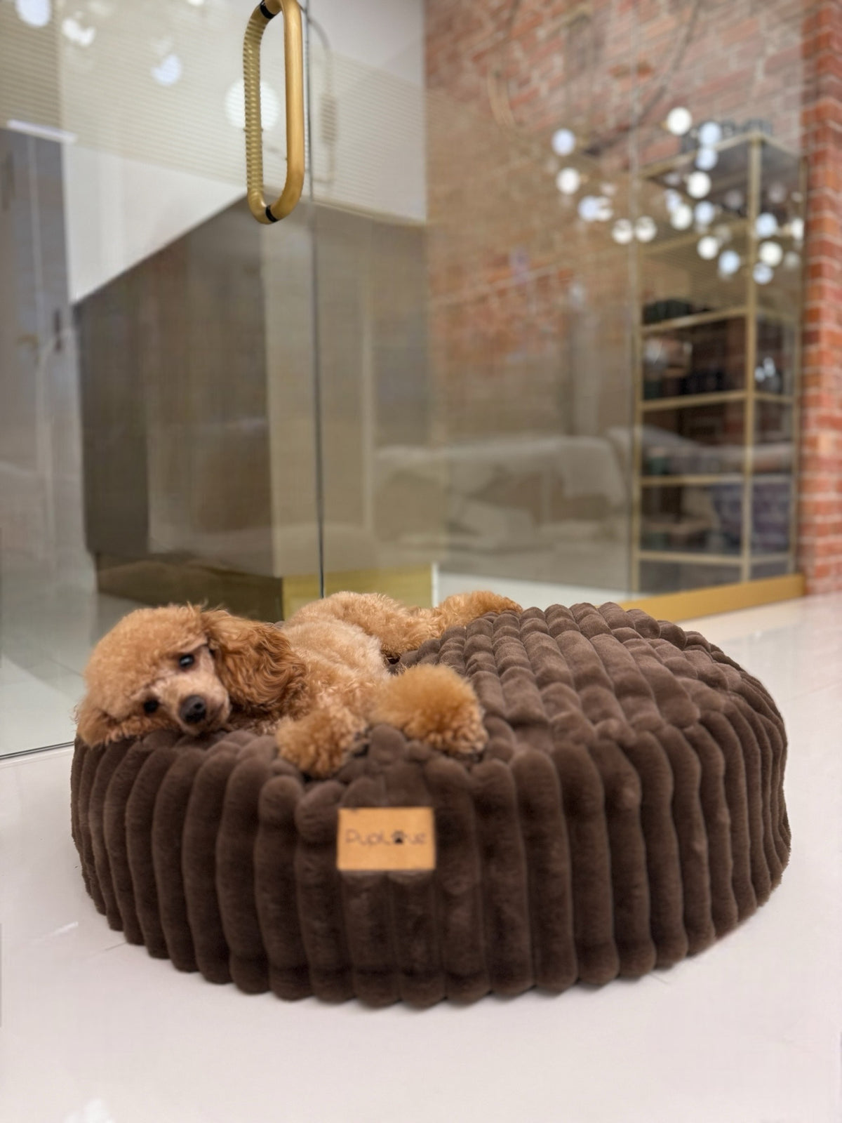 Hundedecke Rabbit Brownie