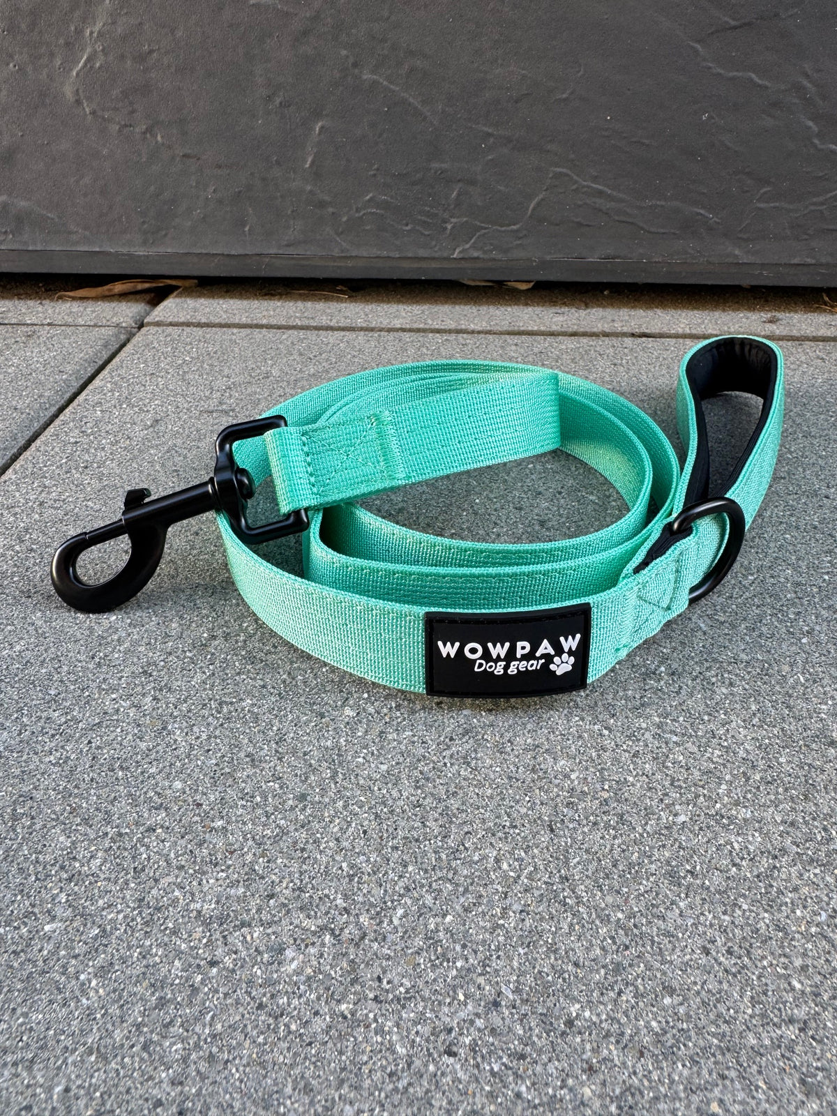 Guinzaglio standard per cani M, lunghezza 1,5m, menta
