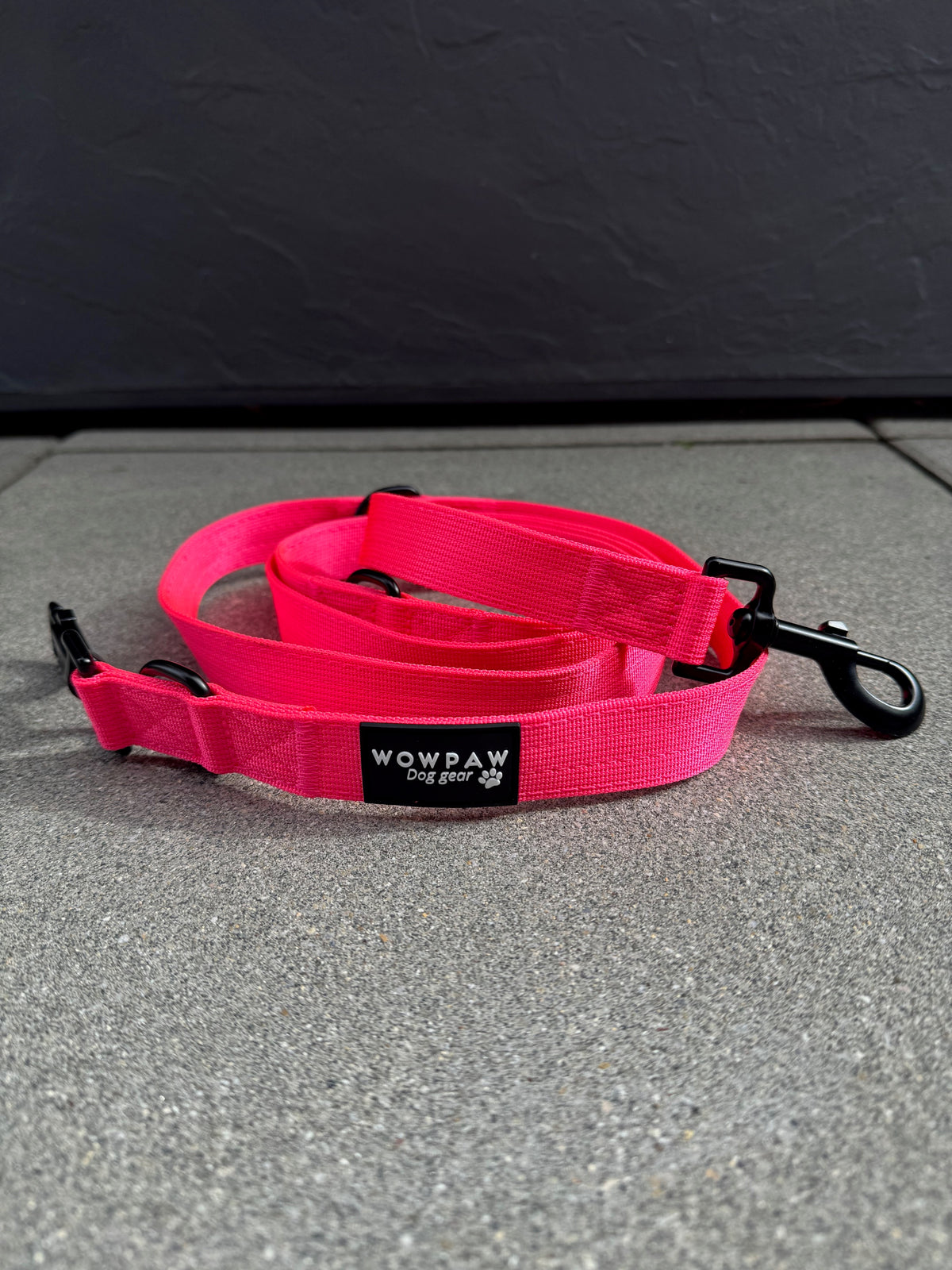 Guinzaglio standard per cani M regolabile, lunghezza 2m, rosa neon