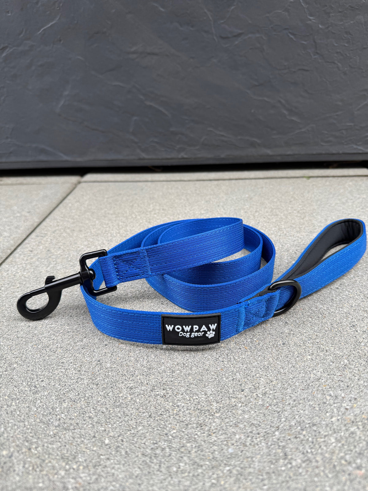 Guinzaglio standard per cani M, lunghezza 1,5m, blu