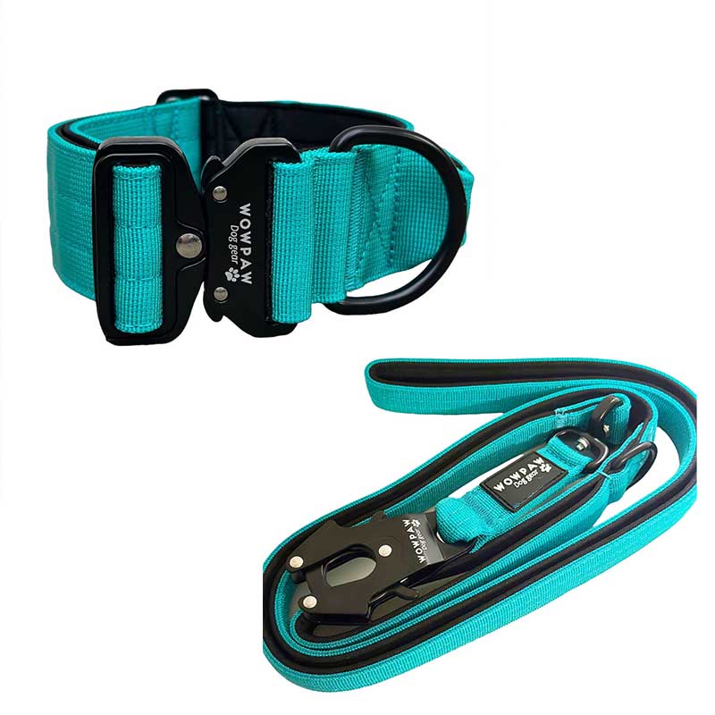 Set composto da collare tattico per cani turchese, taglia M, e guinzaglio tattico per cani turchese