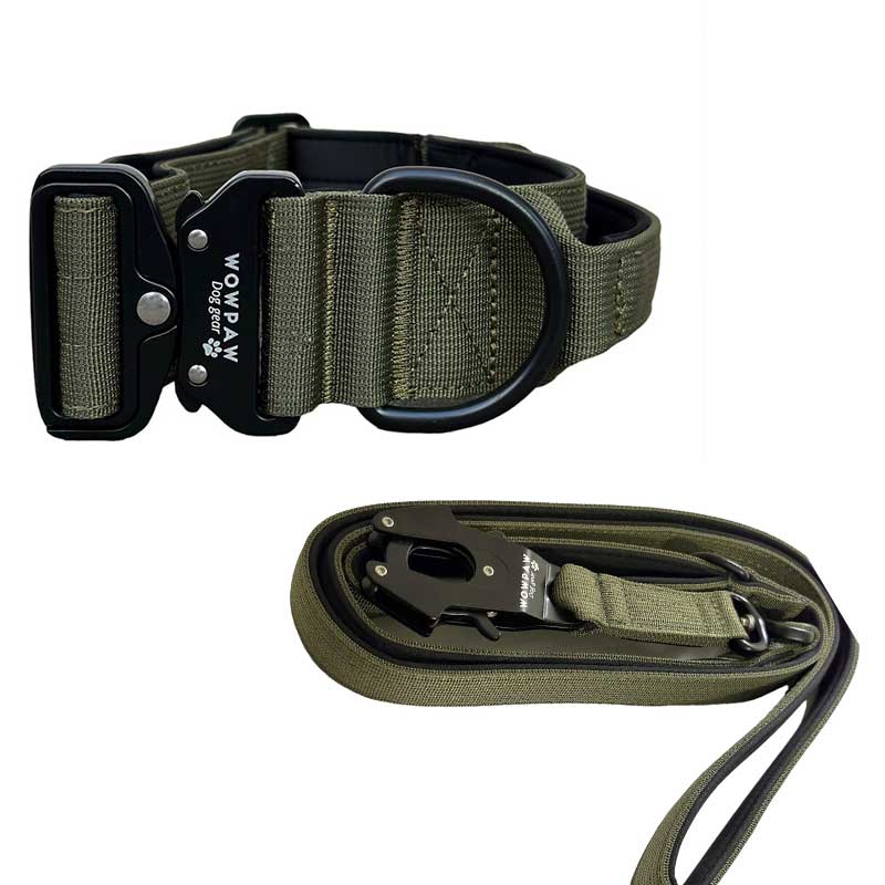 Set composto da collare tattico per cani verde militare, taglia S, e guinzaglio tattico per cani verde militare