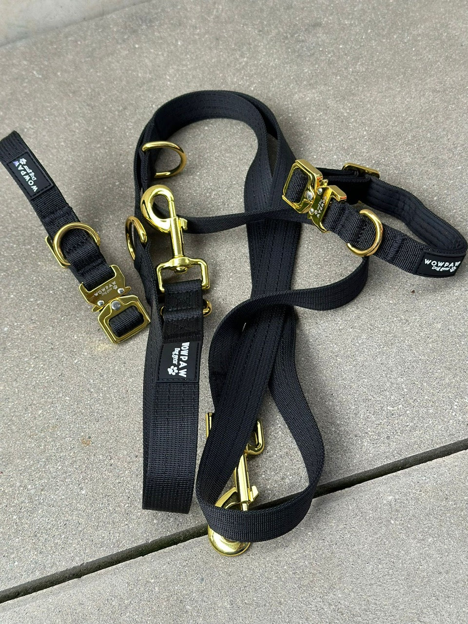 Guinzaglio standard per cani M regolabile lunghezza 2m Nero x Oro