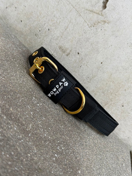 Hochwertiges Basic Hundehalsband Black-Gold Edition 2,5cm Größe L