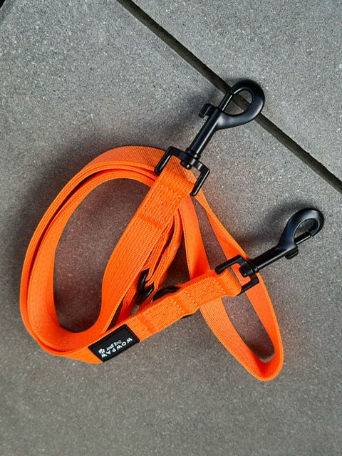 Guinzaglio standard per cani S regolabile, lunghezza 2m, arancione neon