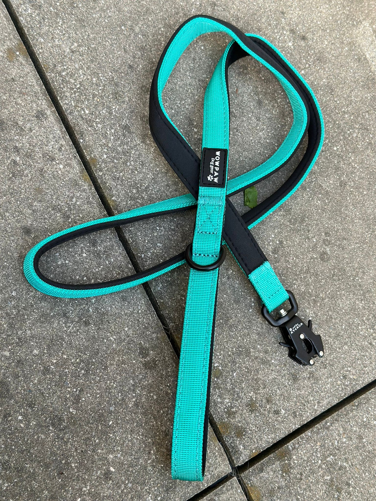 Guinzaglio tattico per cani ULTRA LIGHT XXS turchese – 1,5 m con mini moschettone a rana