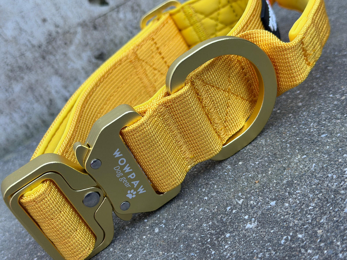 Taktisches Hundehalsband ULTRA LIGHT 3,8cm Yellow Edition L