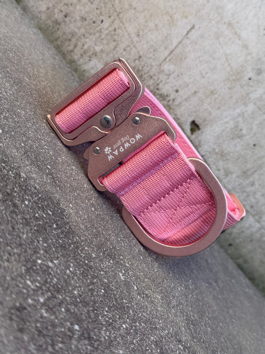 Hochwertiges taktisches Hundehalsband 5cm ULTRA LIGHT Rosa Edition Größe S ohne Griff
