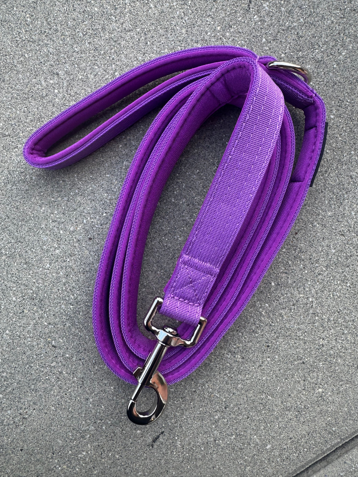 Basic Hundeleine Dunkellila-Silber Edition 1,8m