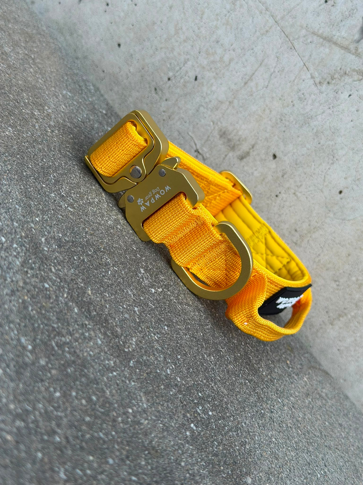 Collare tattico di alta qualità per cani XS 2,5cm Edizione gialla