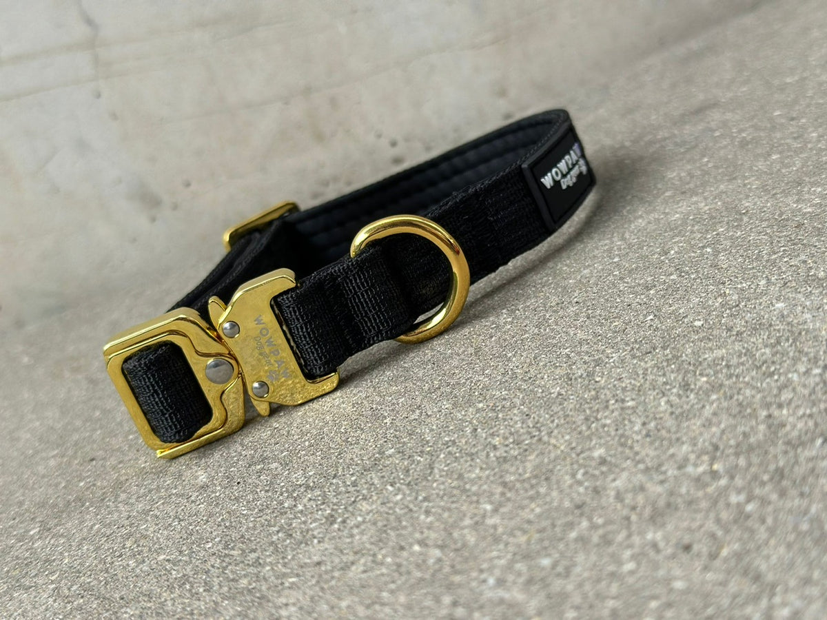 Taktisches Hundehalsband Schwarz x Gold XS