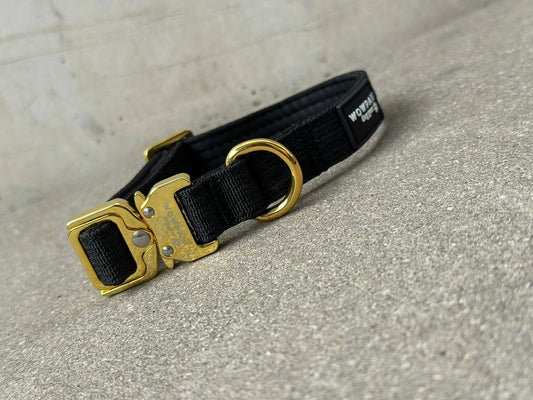 Taktisches Hundehalsband Schwarz x Gold XS