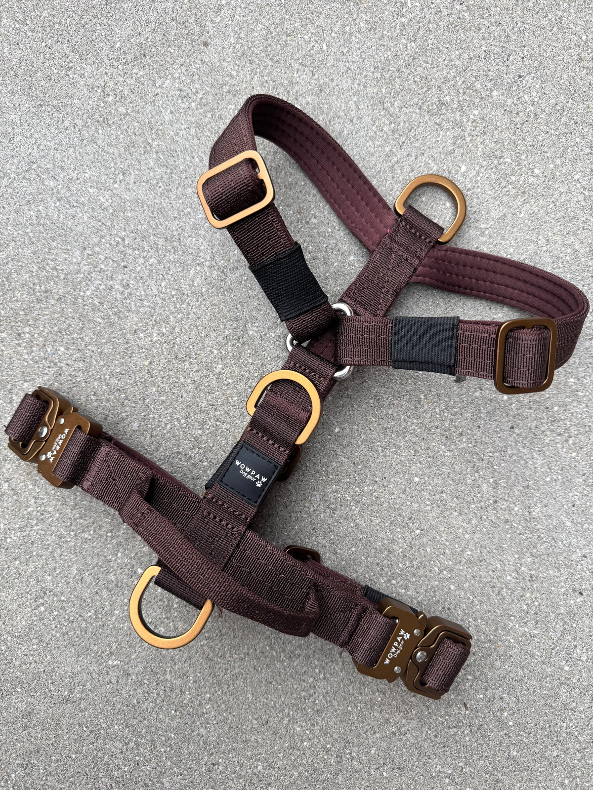 Pettorina per cani di alta qualità, edizione Marrone espresso, XS