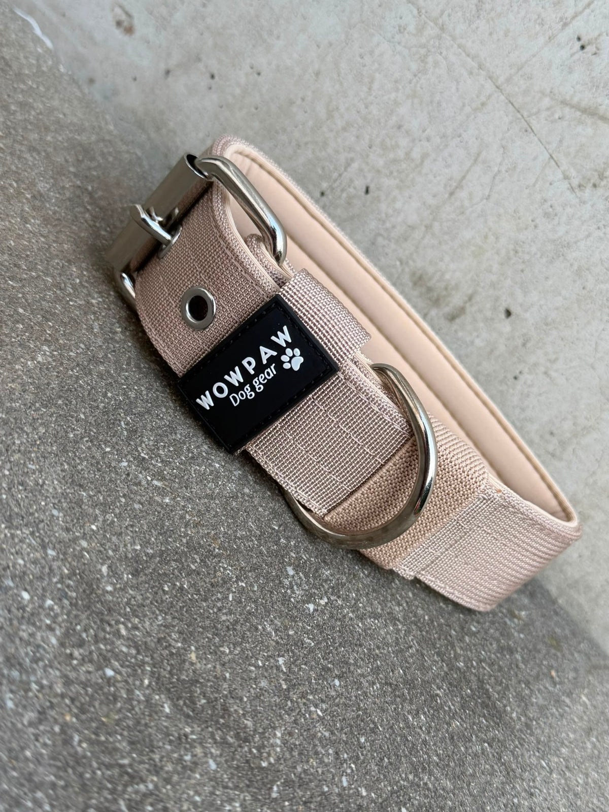Hochwertiges Basic Hundehalsband Beige-Silber Edition 3,8cm Größe L