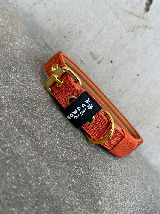 Hochwertiges Basic Hundehalsband Kupfer-Gold Edition 2,5cm Größe S
