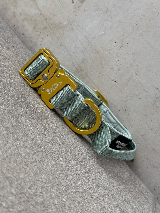Collare tattico di alta qualità per cani XS 2,5cm Edizione lilla