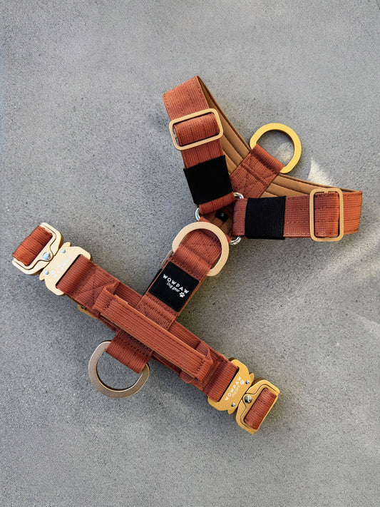 Hochwertiges Hundegeschirr S Kupfer Edition