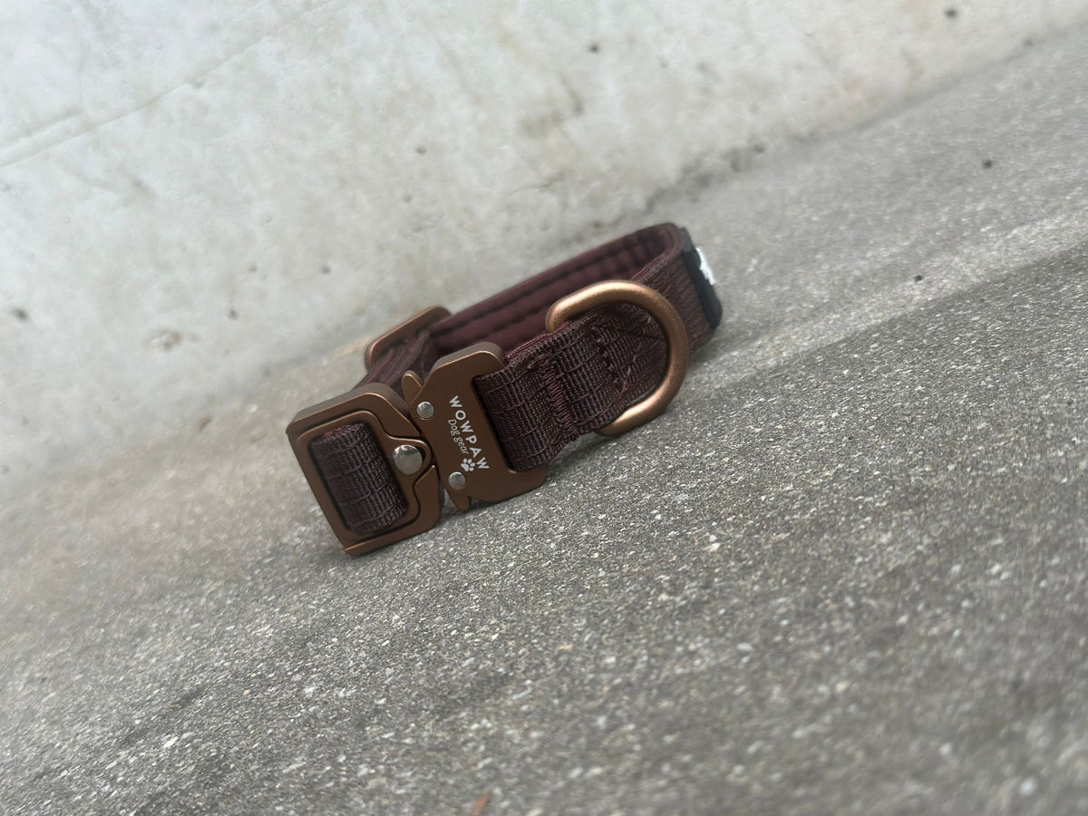 Taktisches Hundehalsband ULTRA LIGHT Espresso Braun Edition XXS