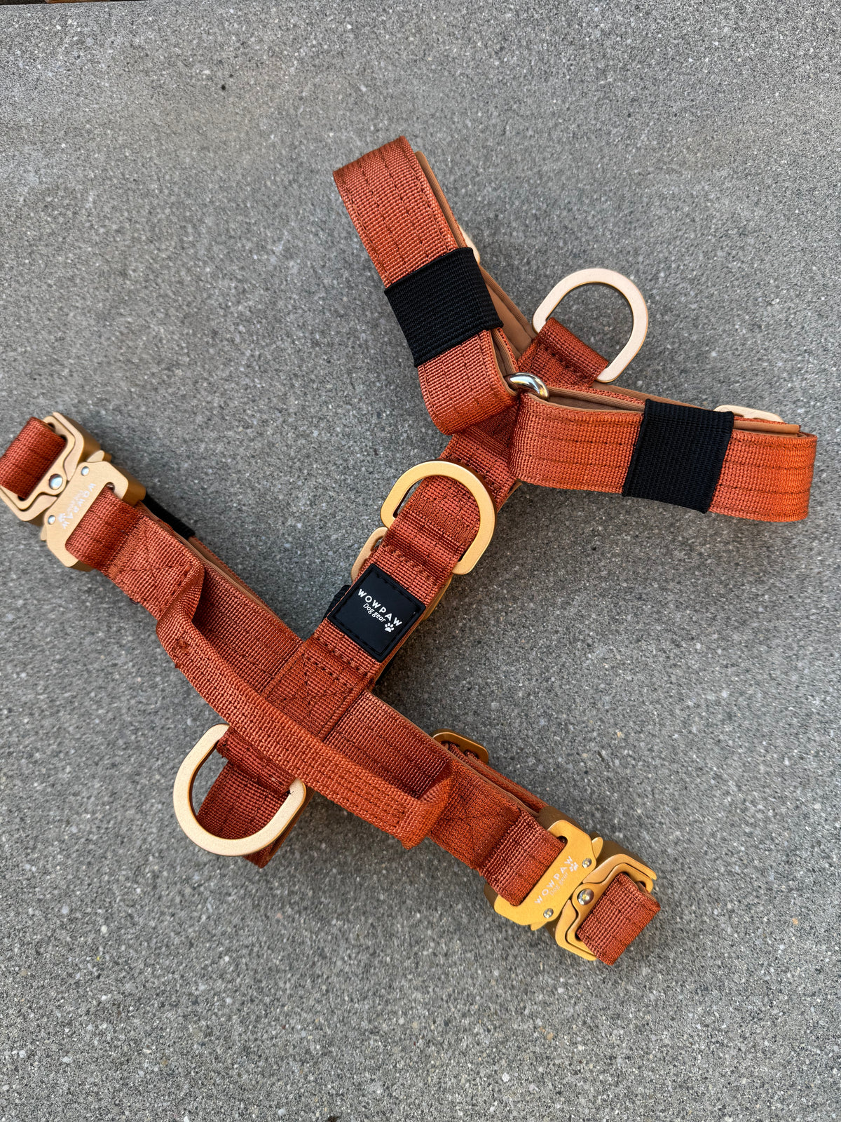 Hochwertiges Hundegeschirr XS Kupfer Edition
