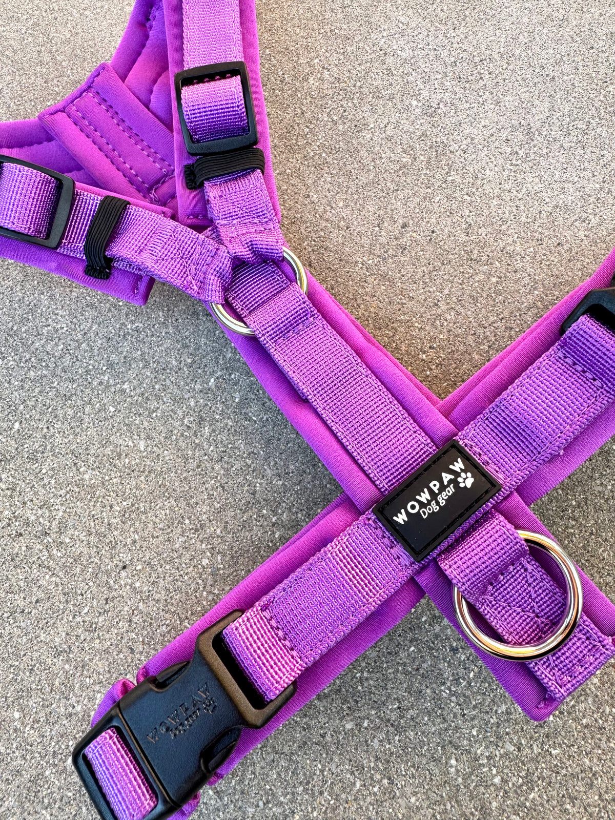 Pettorina per cani di alta qualità FLOW Edizione Viola scuro