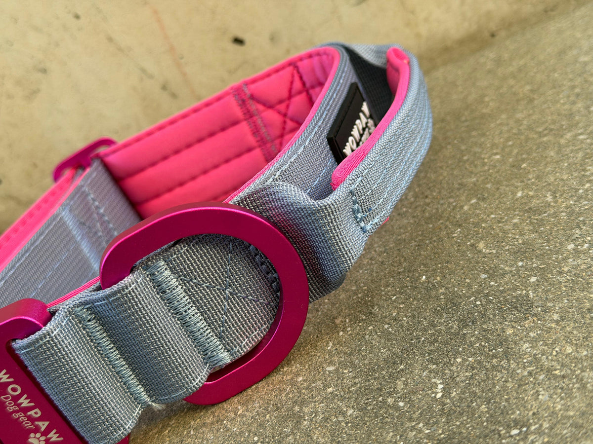 Taktisches Hundehalsband ULTRA LIGHT 3,8cm Blue Purple Edition M