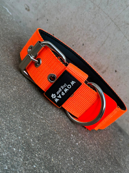 Hochwertiges Basic Hundehalsband Neonorange 4cm Größe M