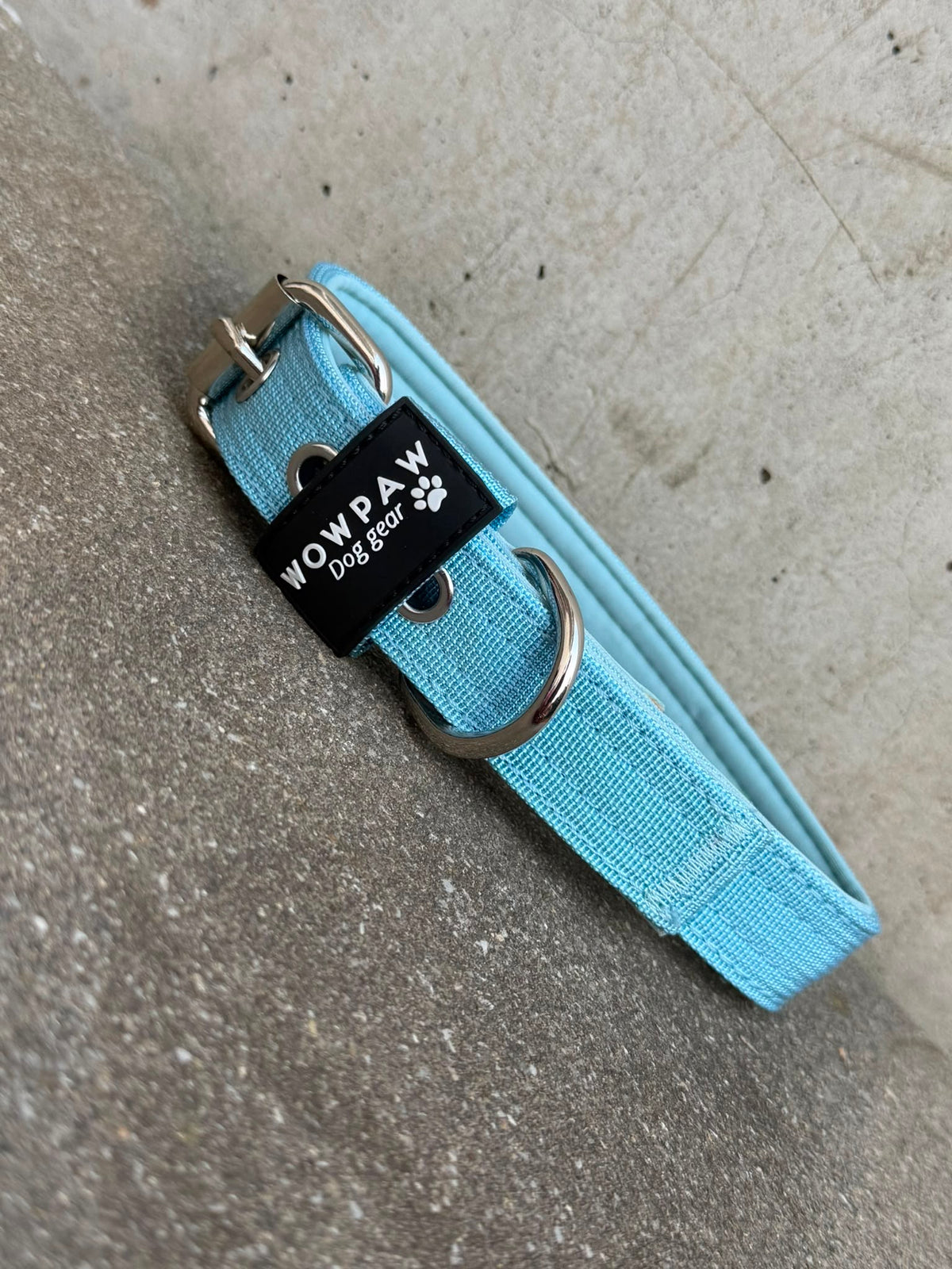 Hochwertiges Basic Hundehalsband Sky Blue-Silber Edition 2,5cm Größe L