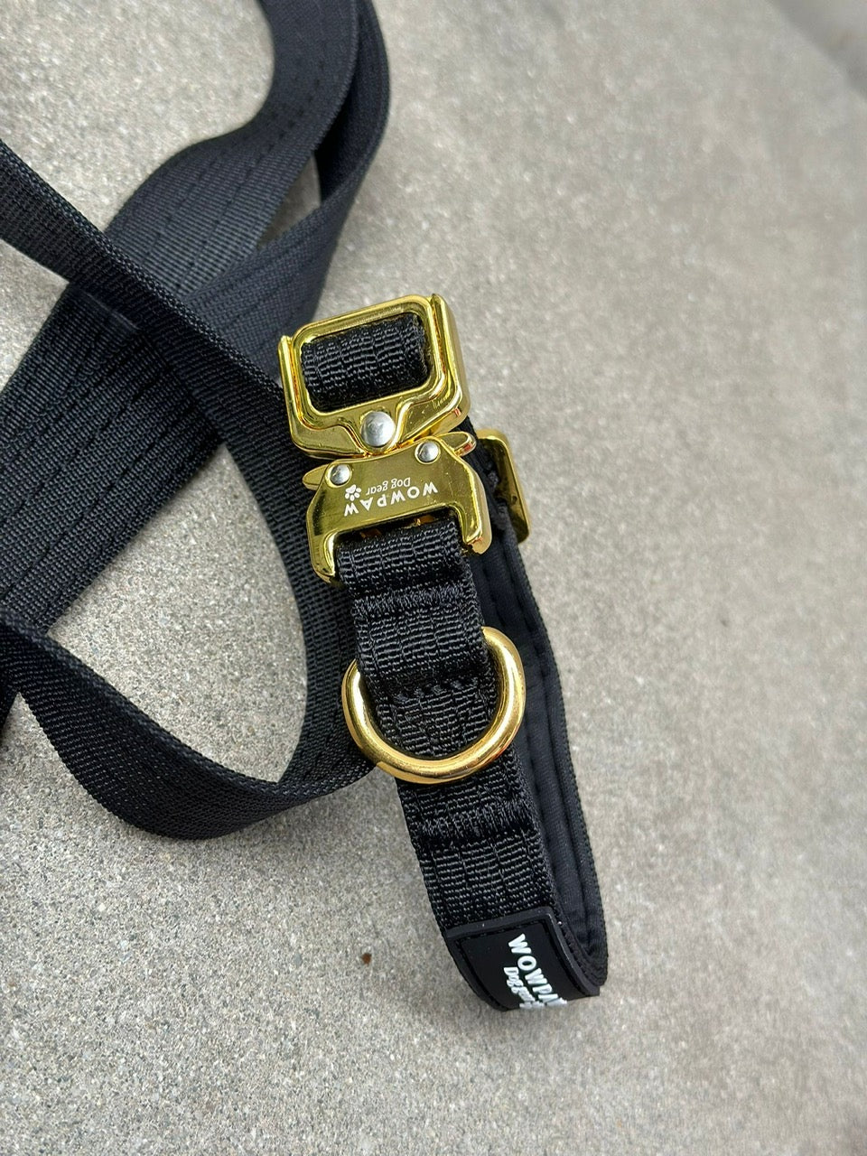 Taktisches Hundehalsband Schwarz x Gold XXS