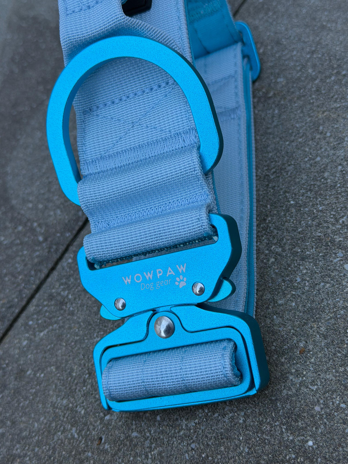 Taktisches Hundehalsband ULTRA LIGHT 5cm Light Blue Edition M