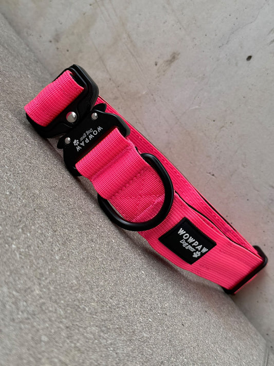 Collare LED per cani rosa neon Taglia M Larghezza 3,8cm