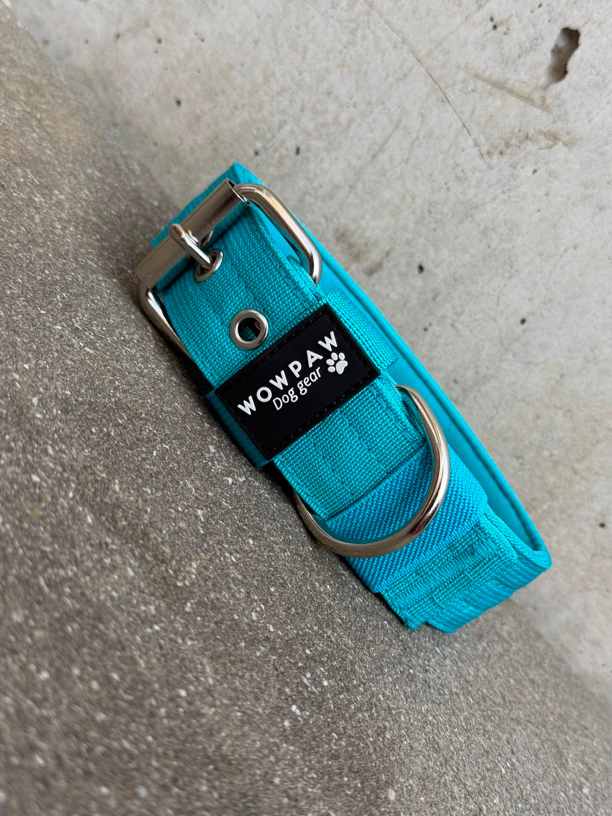 Hochwertiges Basic Hundehalsband Hellblau-Silber Edition 3,8cm Größe M