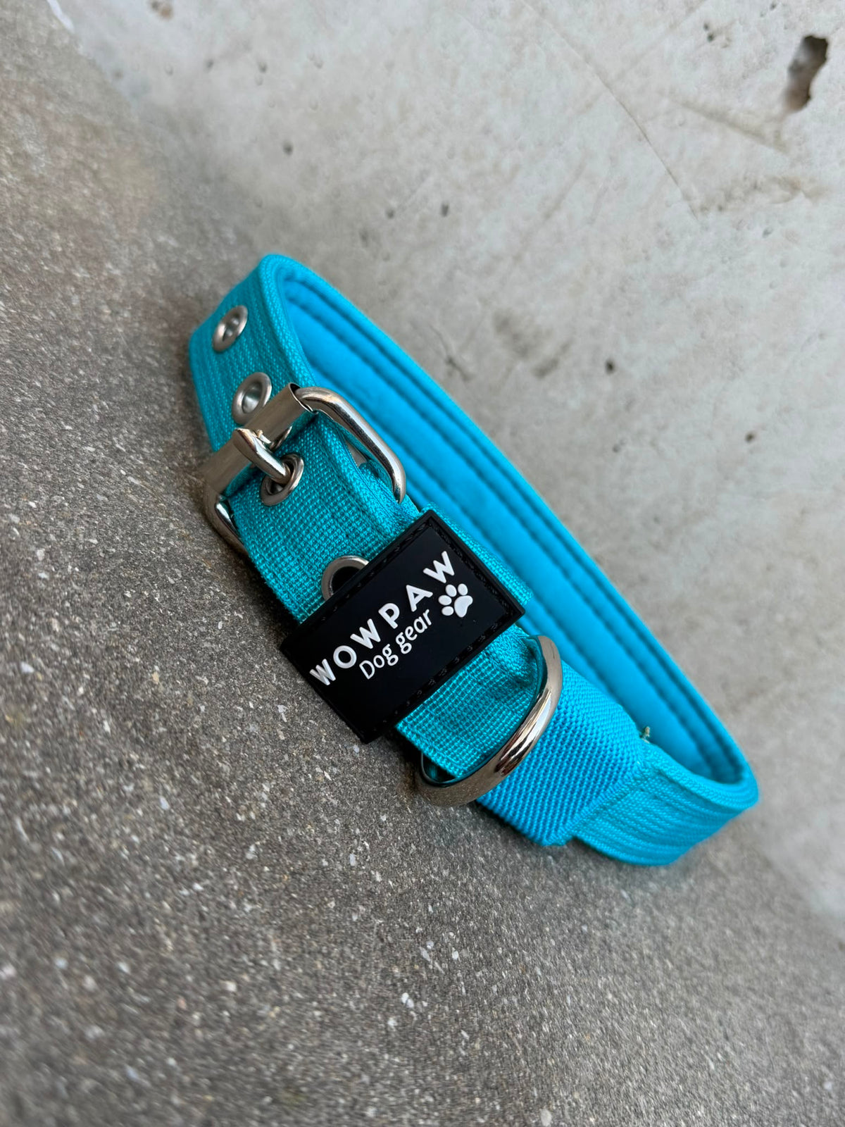 Hochwertiges Basic Hundehalsband Hellblau-Silber Edition 2,5cm Größe M