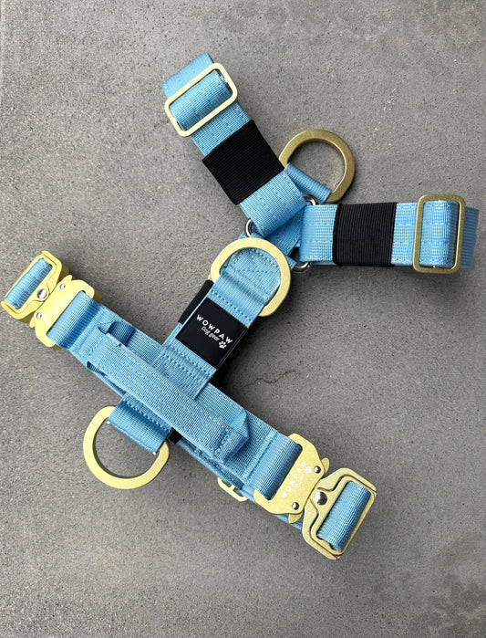 Hochwertiges Hundegeschirr S Sky Blue Edition