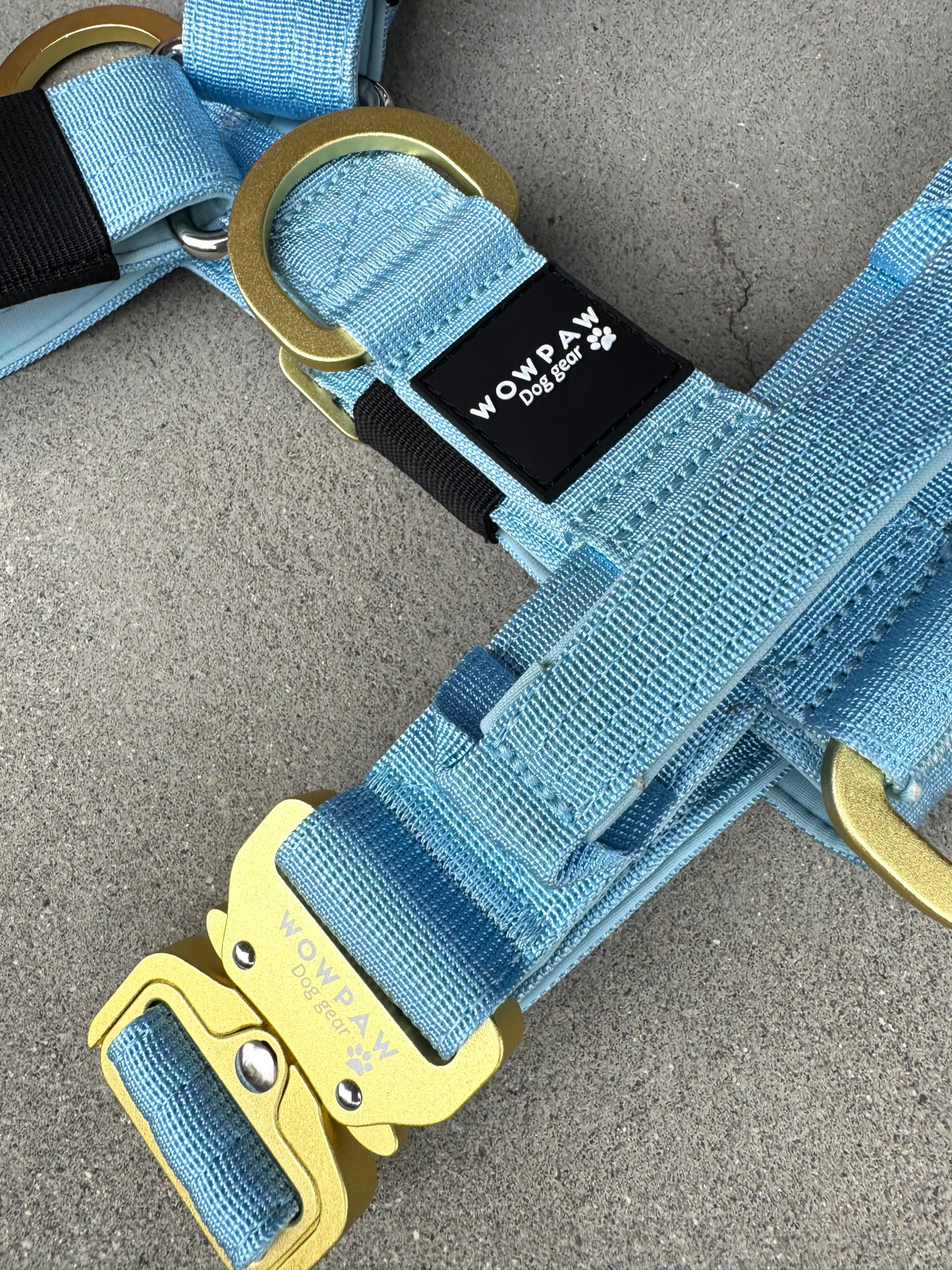 Hochwertiges Hundegeschirr M Sky Blue Edition
