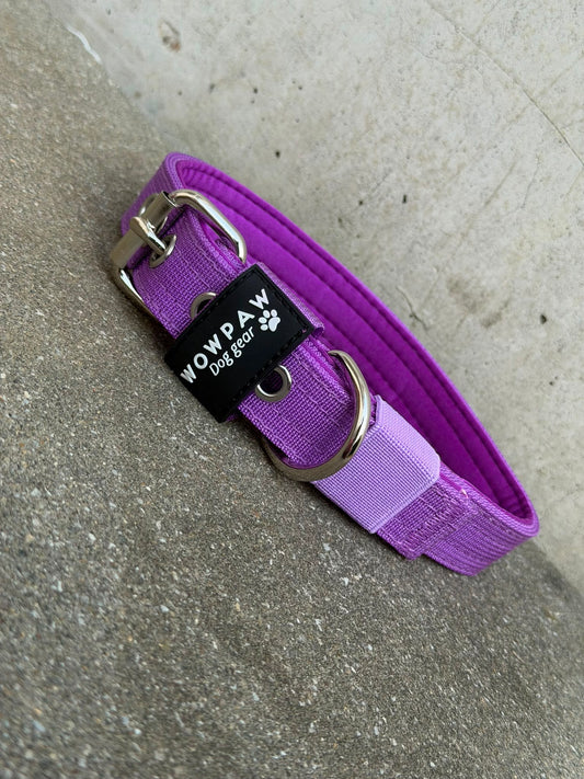 Hochwertiges Basic Hundehalsband Dunkellila-Silber Edition 2,5cm Größe S